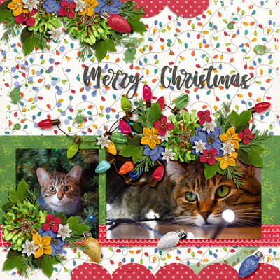 Christmas Helper