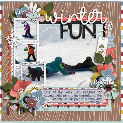 Winter Fun
