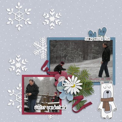 Snow Dec 25 2010