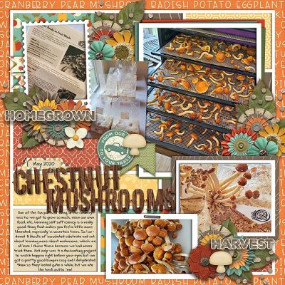 Chestnut Mushrooms