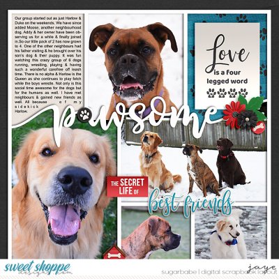 January 2022-This or That: 9A Dog Person