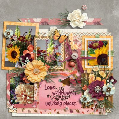 Wildflower Love