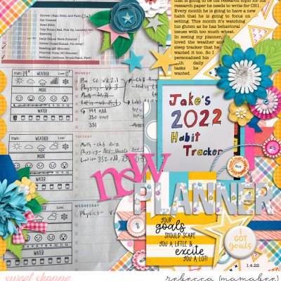 New Planner Goal