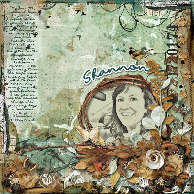 jPA - Shannon