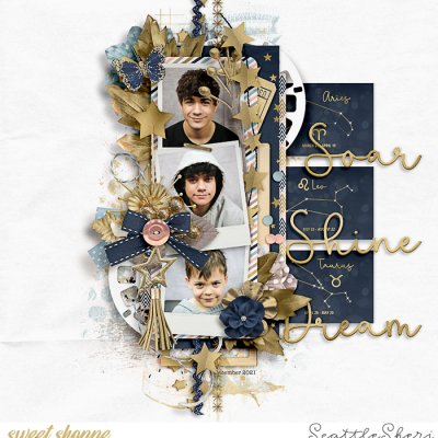 Soar Shine Dream