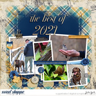 Fave Photos of 2021