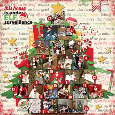 Elf Surveillance