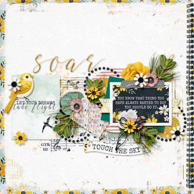Take Flight & Soar
