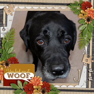 You had me at Woof