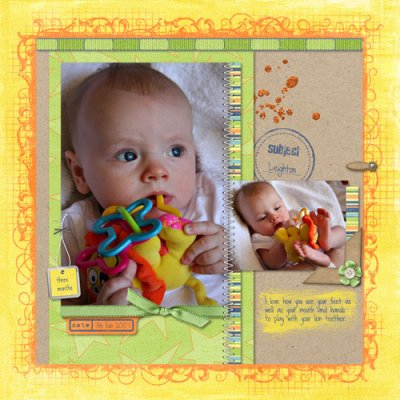 Lion Teether