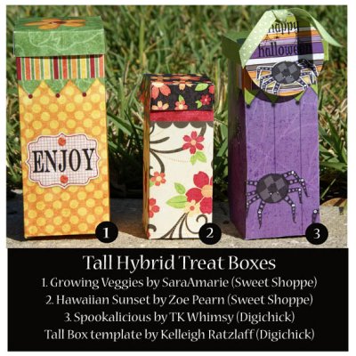 Hybrid Tall Treat Boxes