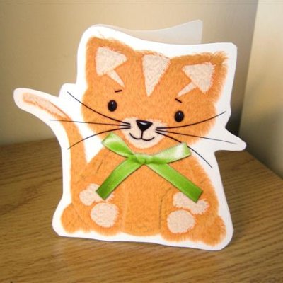 Cat hybrid card