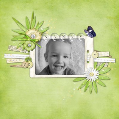 for_nanny_small
