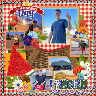 Independence Day Picnic