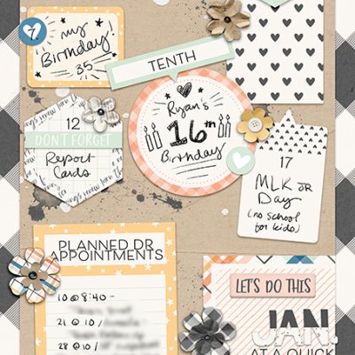 January at a Glance Planner Page