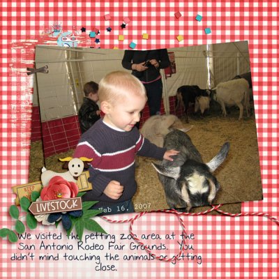 Rodeo Petting Zoo 2007