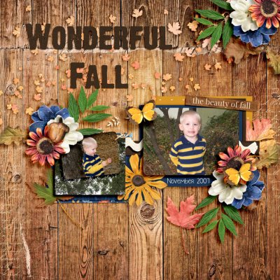 Wonderful Fall November 2007