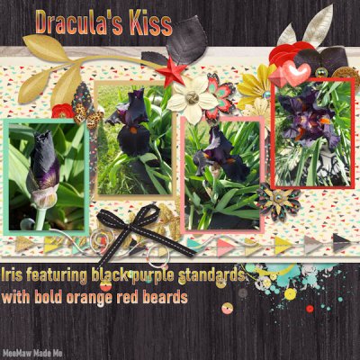 Draculas Kiss