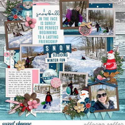 Snow Much Fun