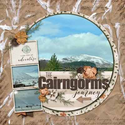 ~The Cairngorms~
