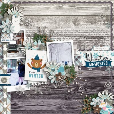 Winter Memories