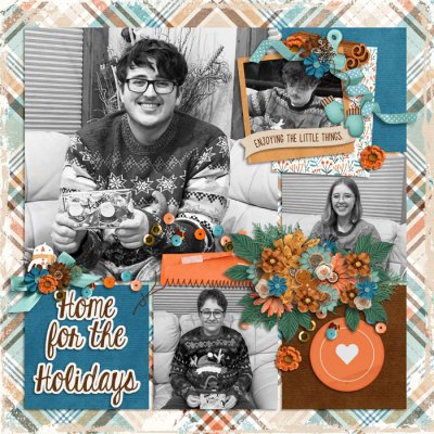 Home for the Holidays