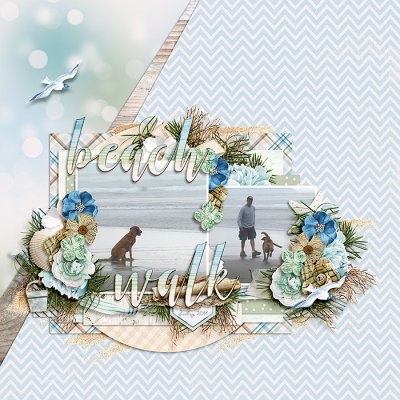 Beach Walk