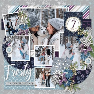 A woodland christmas - winter wonders