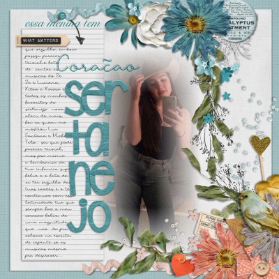 #11.bCoracaoSertanejo