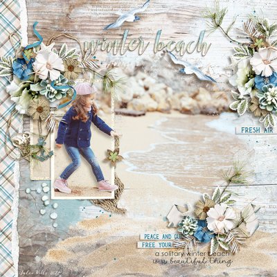 winter beach