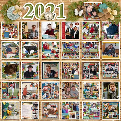 A Look Back 2021