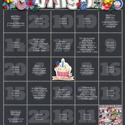 SSD 16 bday bash Bingo card