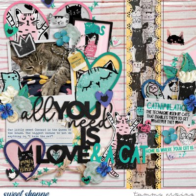 love and a cat