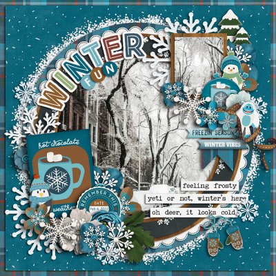 Winter Fun