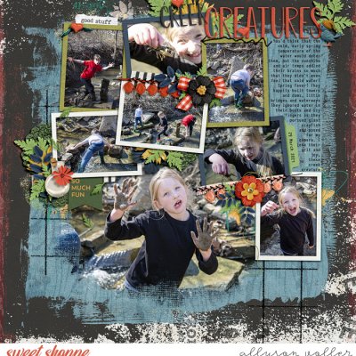 Creek Creatures