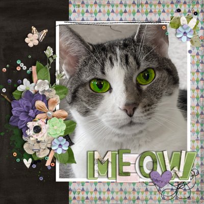 MEOW