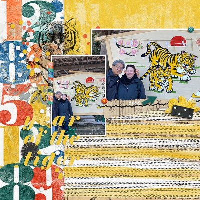 Year Of The Tiger