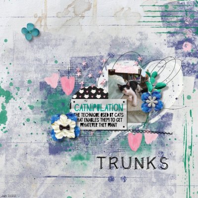 Trunksie