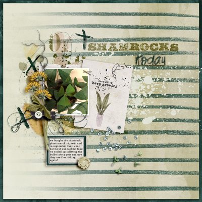 Shamrocks