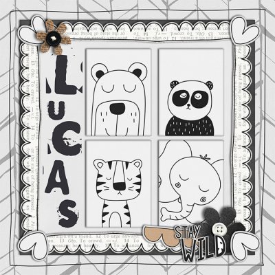 Lucas Canvas