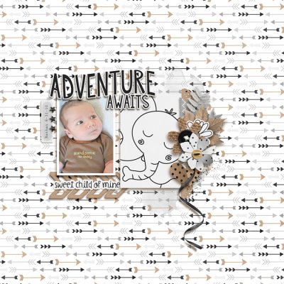 Adventure Awaits