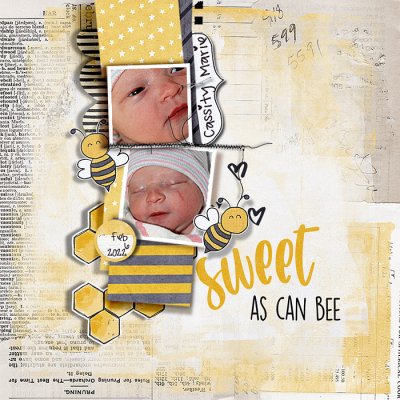 Sweet as Can Bee