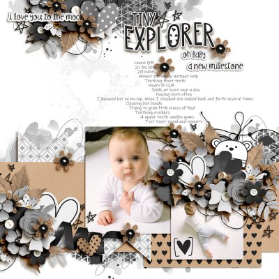 Tiny explorer