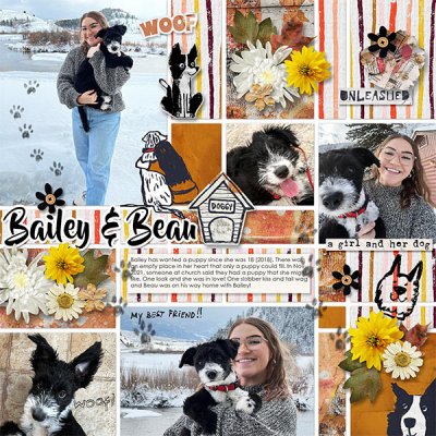 BAILEY & BEAU