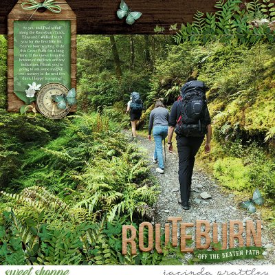 Routeburn
