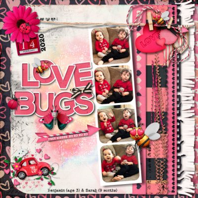Love Bugs 2020