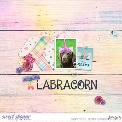 The Elusive Labracorn