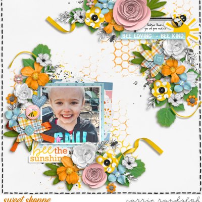 bee the sunshine