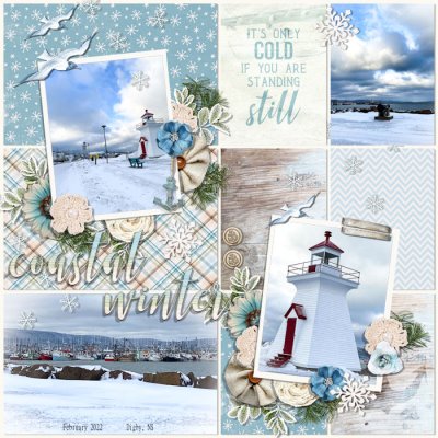Coastal Winter