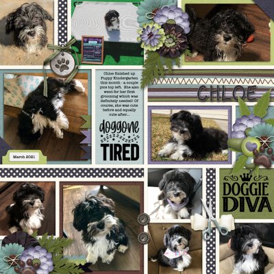 Chloe - March 2021